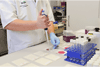 /ext/galleries/Cargill_s_Rumba_Brand/full/02-2011-NP-615E.gif