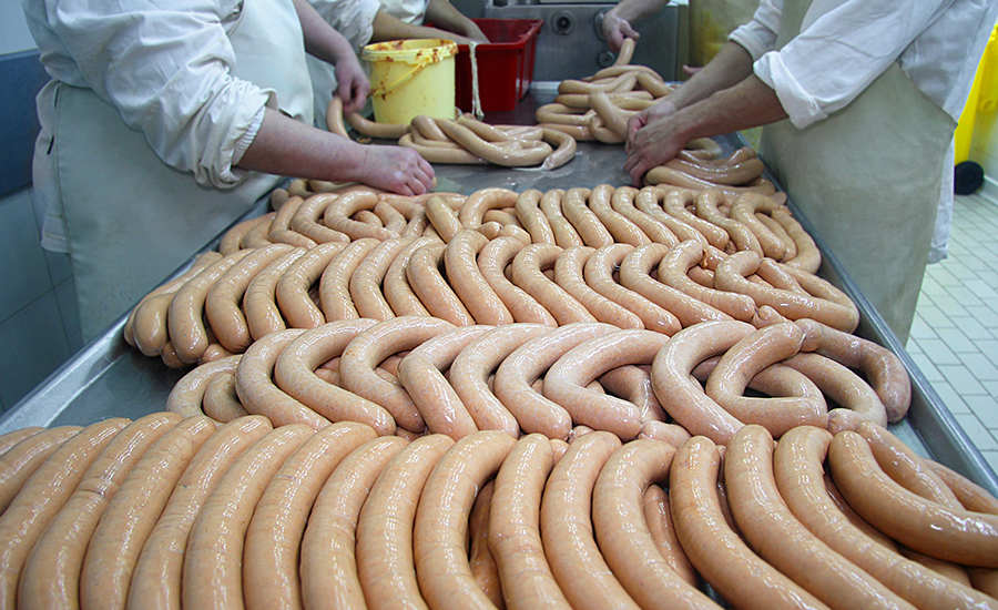sausages on a processor's table