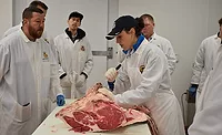 butchering tools