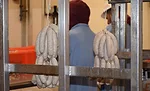 hanging sausage
