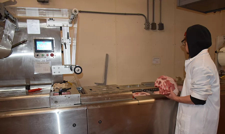 meat slicing