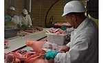slicing meat