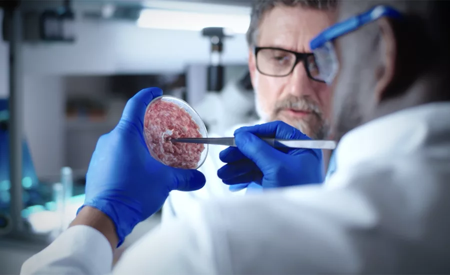 Meat Science