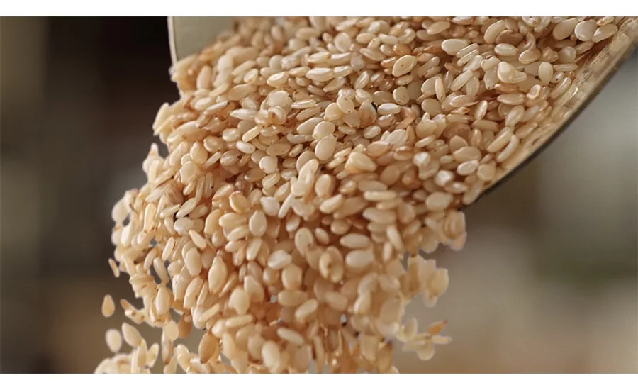 Sesame