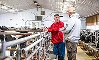 veal farmer