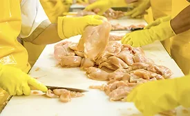 chicken trimming