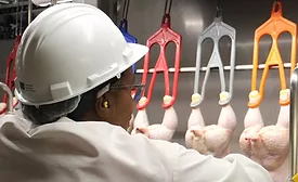poultry plant