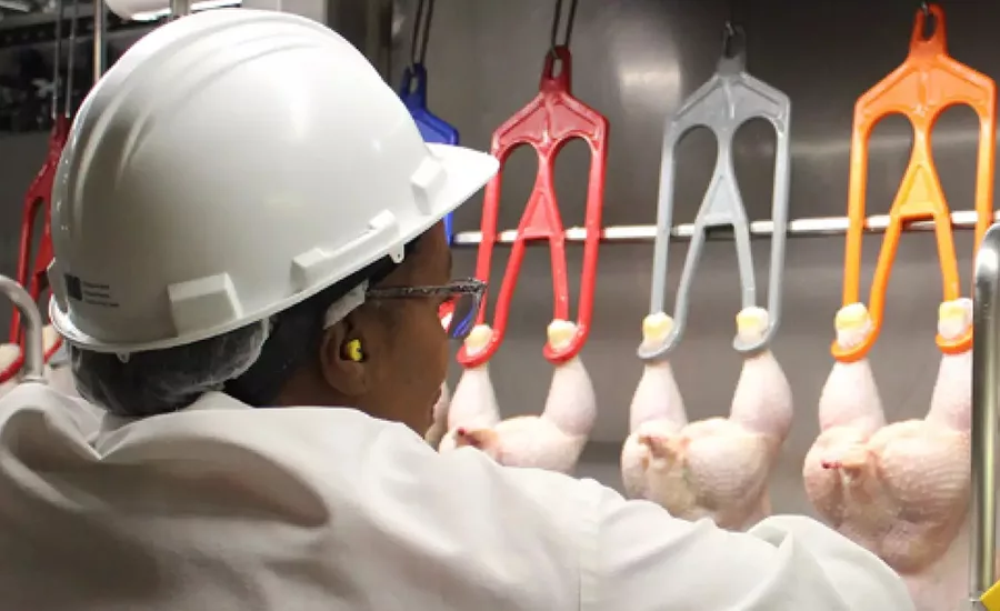 poultry plant