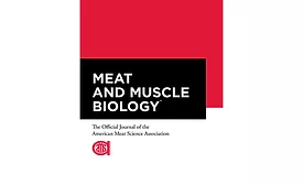 MMB book
