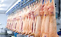 pork processing