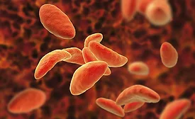 Parasitic protozoans Toxoplasma gondii