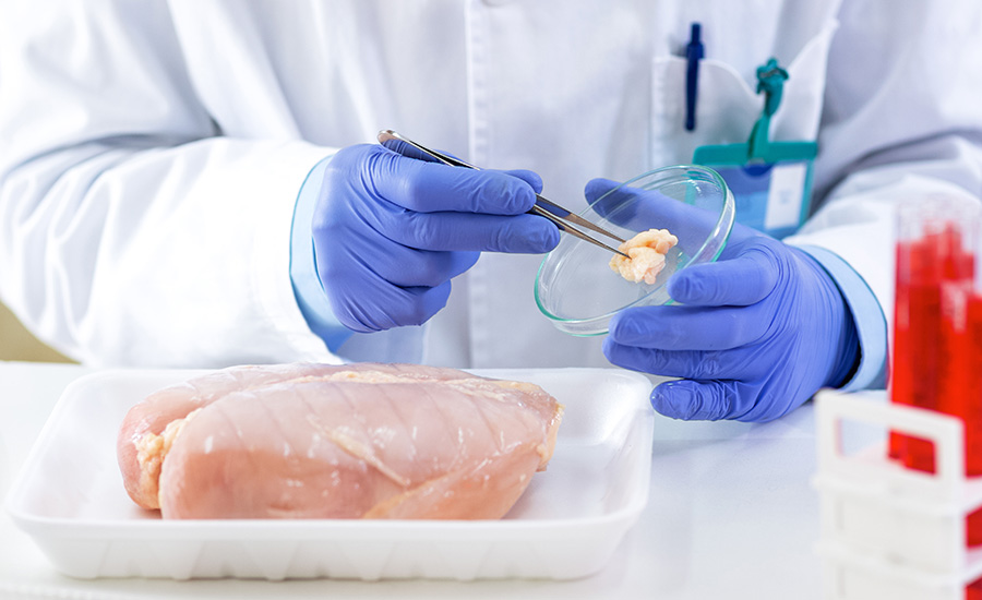 Control fat mass in to the chicken meat at laboratory