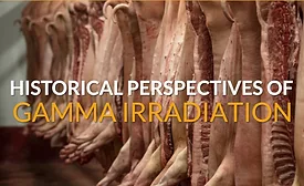 hangingMeat.jpg