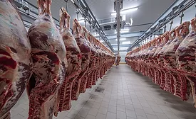 meats hanging in the cold store