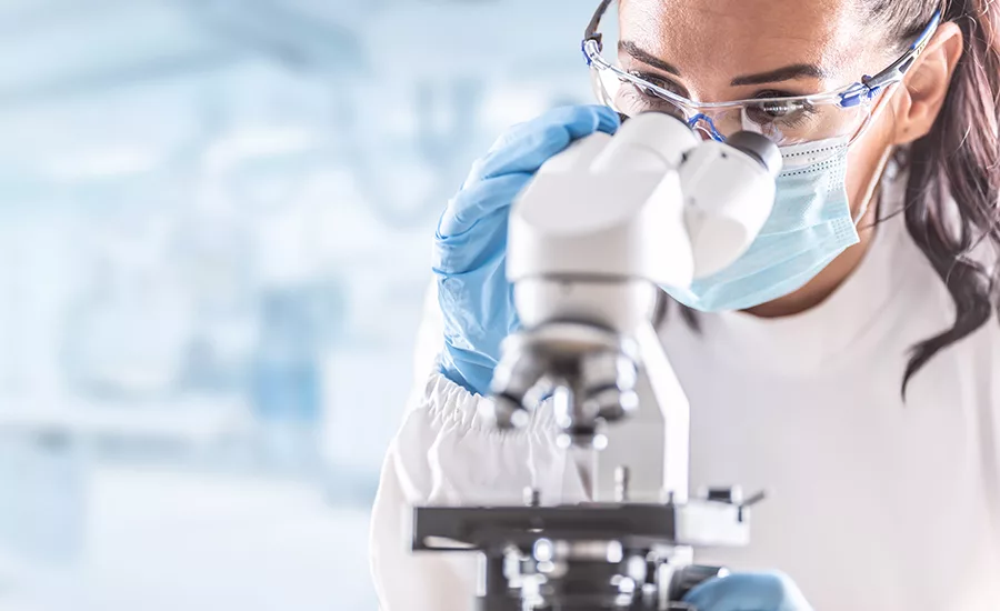 looking into a microscope