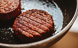 Roasted Vegan Burger Patties made out of pea protein