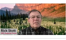 rick-stott-discovery.png