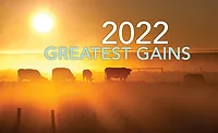 greatest gains (002).jpg
