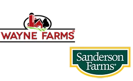 wayne-sanderson.png