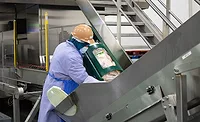 high pressure processing (HPP)