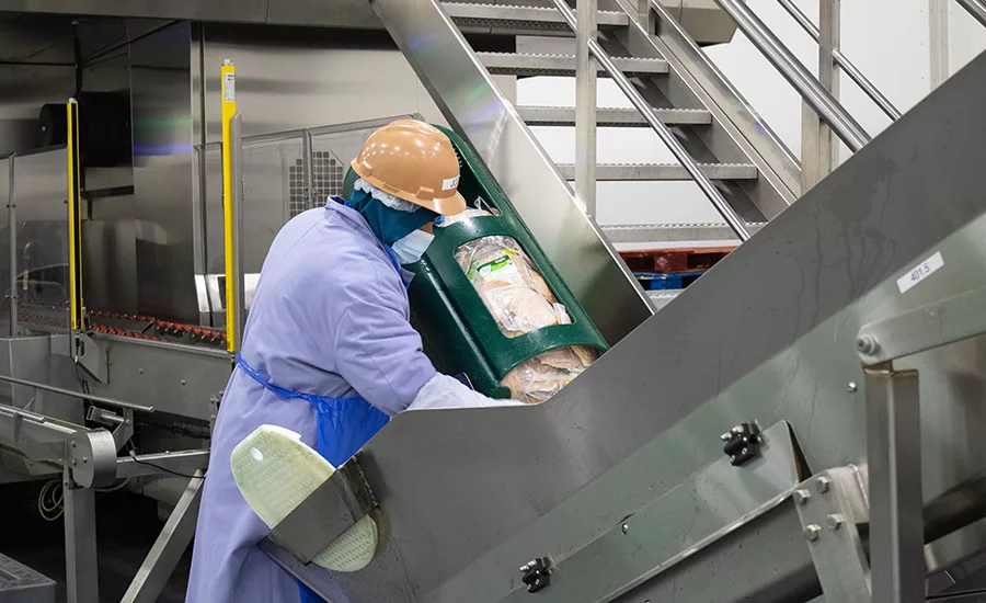 high pressure processing (HPP)