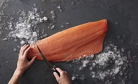 cutting salmon