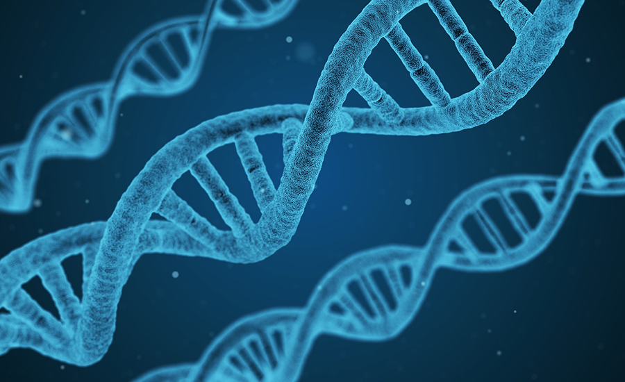 DNA Sequences