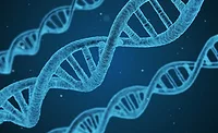 DNA Sequences