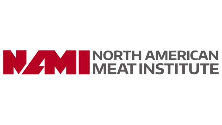 NAMI logo