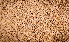 grains