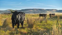 Hero Steer Image_SFR Hero Steer Image
