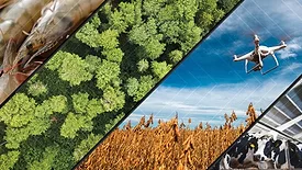 Image courtesy of USDA's National Institute of Food and Agriculture.