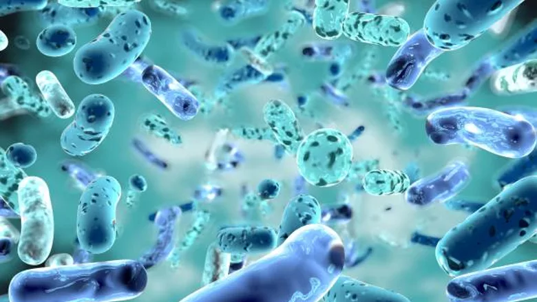 Bacteria stock image