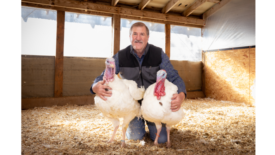 NTF Chairman Ronnie Parker poses with the turkeys "Chocolate" and "Chip" in Monroe, North Carolina.