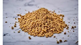 Vertis Textured Pea Canola Protein, DSM