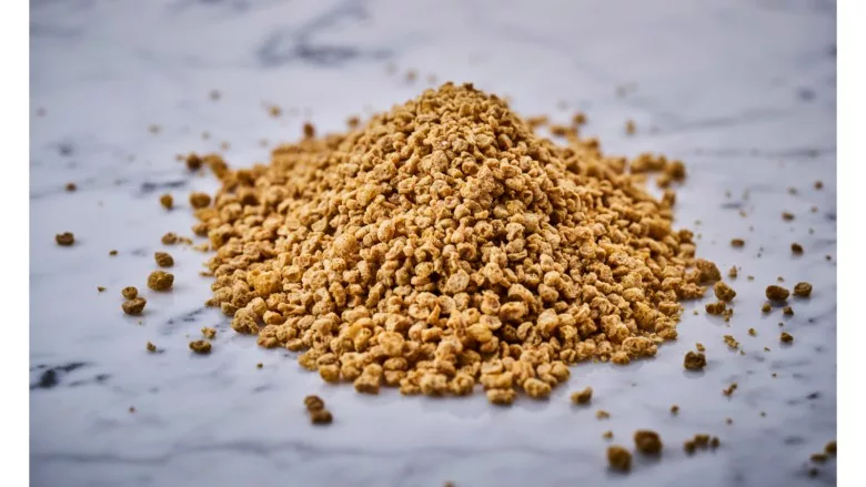 Vertis Textured Pea Canola Protein, DSM