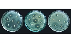 antimicrobial