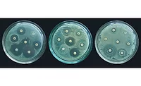 antimicrobial
