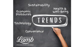 American Lamb Promotion Board trends image