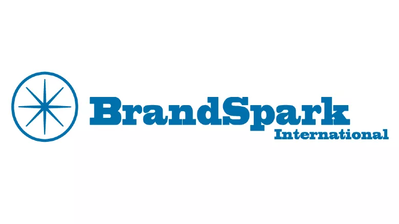 BrandSpark International logo