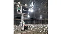 Scout poultry robot photo