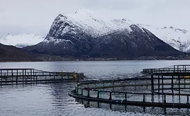Aquaculture