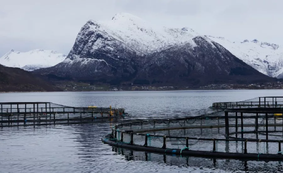 Aquaculture