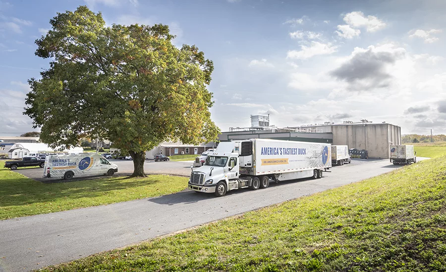 Joe Jurgielewicz & Son Ltd. facility