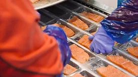 norway-salmon.jpg