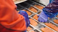 norway-salmon.jpg