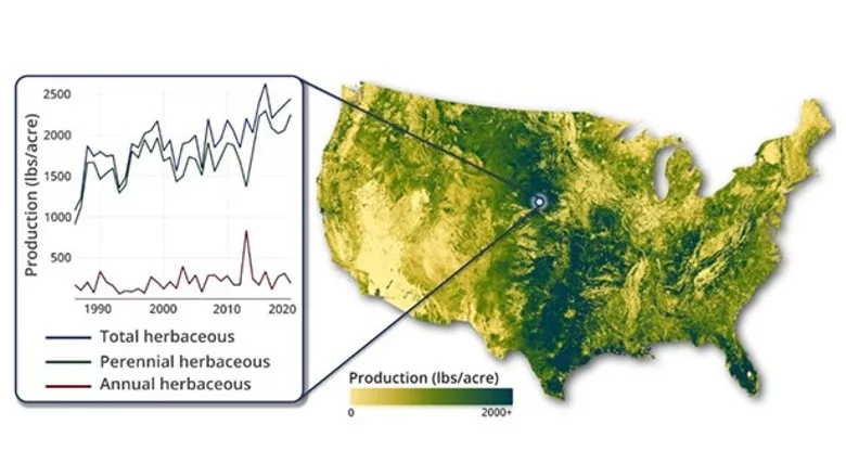 Producers and scientists can use RAP to examine vegetation patterns across space and through time.