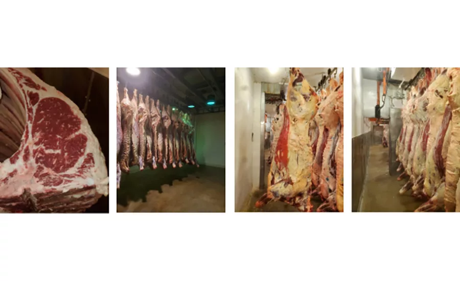 hanging meat