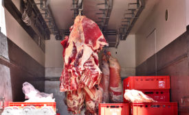 Raw beef, butchery transport. Raw meat hanging on meat hooks in a truck.