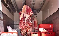 Raw beef, butchery transport. Raw meat hanging on meat hooks in a truck. Raw beef, butchery transport. Raw meat hanging on meat hooks in a truck.